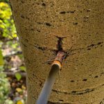 Rage-Broadheads-review-1