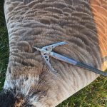 Rage-Broadheads-review-4